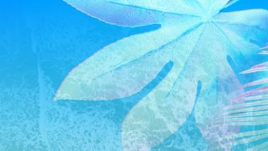 summer image
