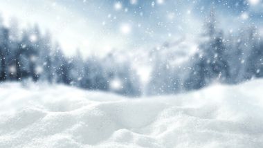 Snow Setting with Christmas Trees